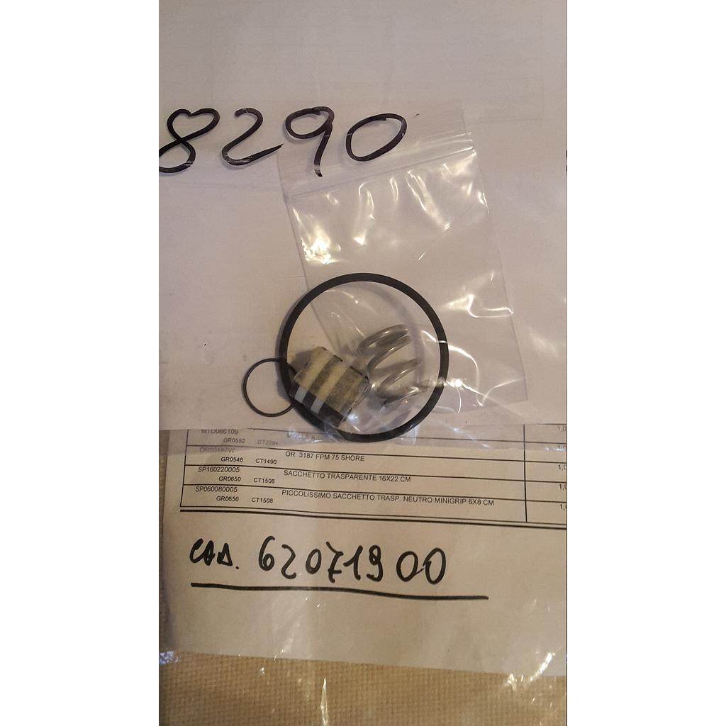 Serie Ricambio SBS/GRS DN15 -&gt; DN25 (premistoppa, O-ring, molla) - Cod. 8290 - Italvalvole