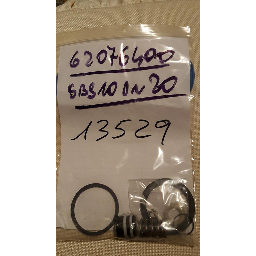 Serie Ricambio lato corpo SBS10/GRS10 DN20 GJS-WCB T.PK. 2vie - (guarniz.corpo, premistoppa, molla, disco tenuta Peek) - Cod. 13529 - Italvalvole