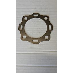 Guarnizione in Grafite di ricambio per scaricatore FT14 (1/2"-3/4"-1") Cod. 33461440081 - Spirax