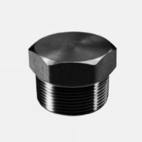 Tappo Maschio Testa Esagonale S3000 A105 - Filettato 1/2&#34; NPT